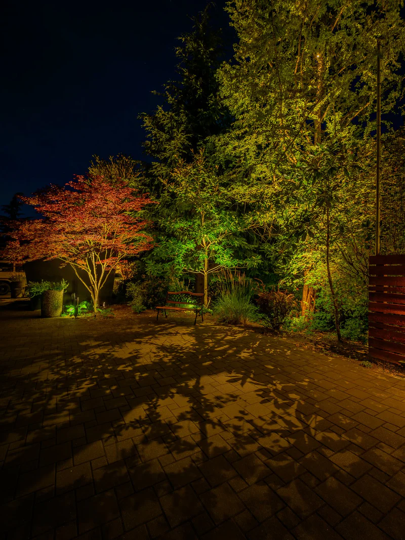 Landscape Lighting for a Squamish Backyard Retreat - BLL Winstanleys 10